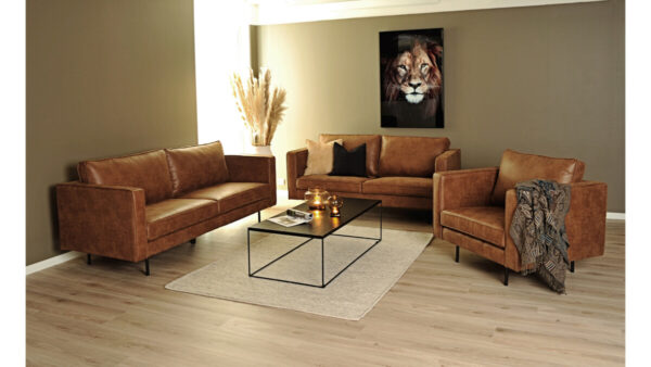 Texas 2,5-sits soffa cognac - Bild 3